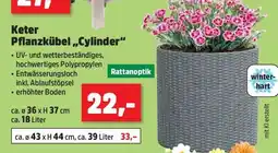 Thomas Philipps Keter Pflanzkübel „Cylinder“ Angebot