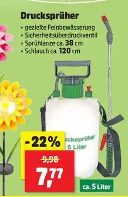 Thomas Philipps Drucksprüher Angebot