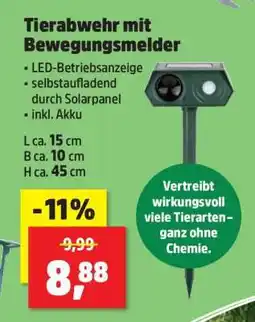 Thomas Philipps Tierabwehr mit Bewegungsmelder Angebot