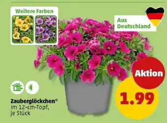 PENNY Zauberglöckchen Angebot
