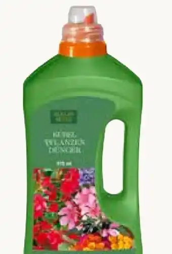 Klle's Beste Kbelpflanzen Dnger 0.975 l Angebot bei Pflanzen Klle