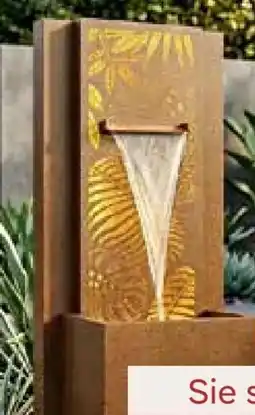 Pflanzen Kölle Brunnen Spring Angebot