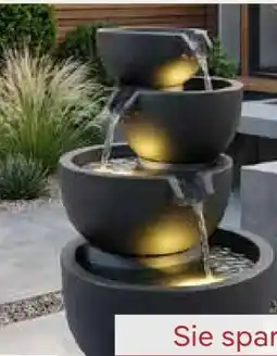 Pflanzen Kölle Brunnen Angebot