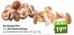 CITTI Markt Bio Shiitake Pilze oder Bio Kräuterseitlinge Angebot