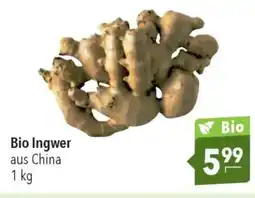 CITTI Markt Bio Ingwer Angebot