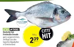 CITTI Markt Deutsche See Frische Bio Dorade Angebot