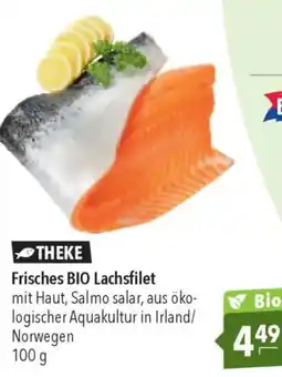 CITTI Markt Frisches BIO Lachsfilet Angebot