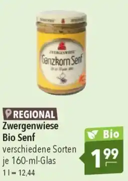 CITTI Markt Zwergenwiese Bio Senf Angebot