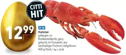 CITTI Markt Hummer Angebot