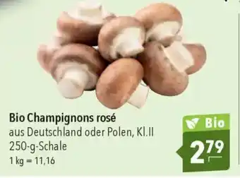 CITTI Markt Bio Champignons rosé Angebot