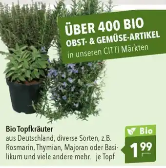 CITTI Markt Bio Topfkräuter Angebot