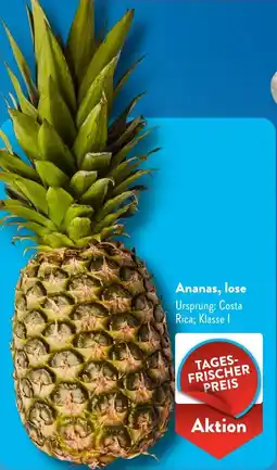 Aldi Süd Ananas, lose Angebot