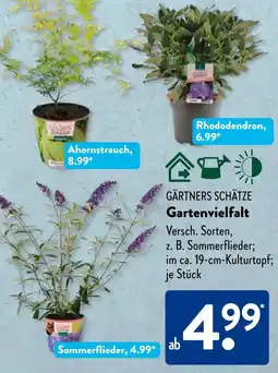 Aldi Süd GÄRTNERS SCHÄTZE Gartenvielfalt Angebot