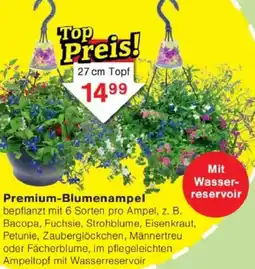 Jawoll Premium-Blumenampel Angebot