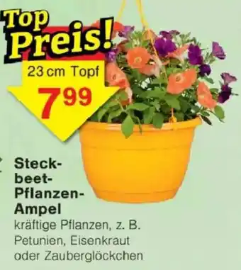 Jawoll Steckbeet- Pflanzen- Ampel Angebot
