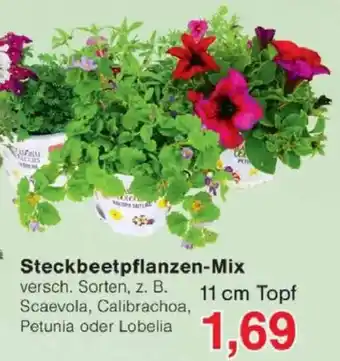 Jawoll Steckbeetpflanzen-Mix Angebot