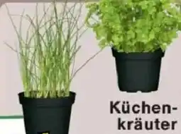 Jawoll Küchen kräuter Angebot