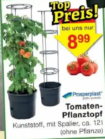 Jawoll Prosperplast Tomaten- Pflanztopf Angebot