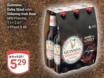 Globus Guinness Extra Stout oder Kilkenny Irish Beer Angebot