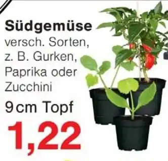 Wiglo Wunderland Südgemüse Angebot