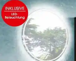 Zurbrüggen novel Flächenspiegel Angebot