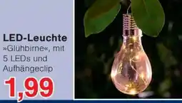 Wiglo Wunderland LED-Leuchte Angebot