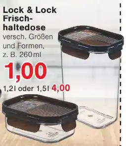 Wiglo Wunderland Lock & Lock Frischhaltedose Angebot
