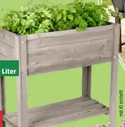 Thomas Philipps Grüner Jan Hochbeet Angebot