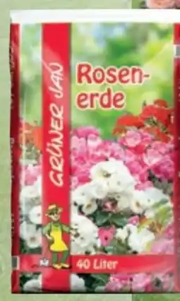 Thomas Philipps Grüner Jan Rosenerde Angebot