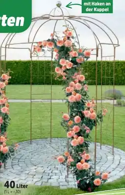 Thomas Philipps Rosenpavillon Angebot