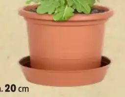 Thomas Philipps Passende Untersetzer Angebot