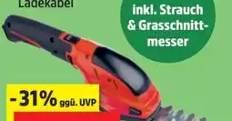 Thomas Philipps Scheppach Akku-Gras- und Strauchschere CGS-15 Li Angebot