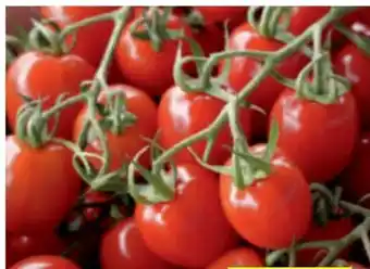 toom Baumarkt Tomaten-Pflanzen Angebot