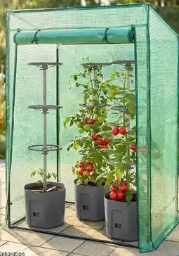 Thomas Philipps Gewächshaus für Tomaten Angebot