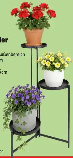 Thomas Philipps Metall--Blumenstander Angebot