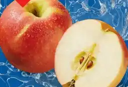 Lidl Pink Lady Äpfel Angebot