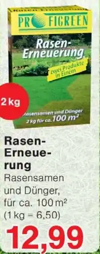 Wiglo Wunderland Profigreen rasen erneuerung Angebot