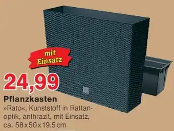 Wiglo Wunderland Pflanzkasten Angebot