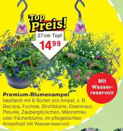 Wiglo Wunderland Premium-Blumenampel Angebot