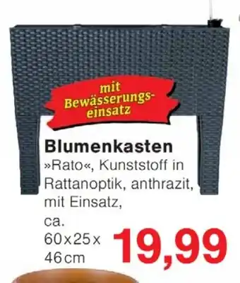Wiglo Wunderland Blumenkasten Angebot