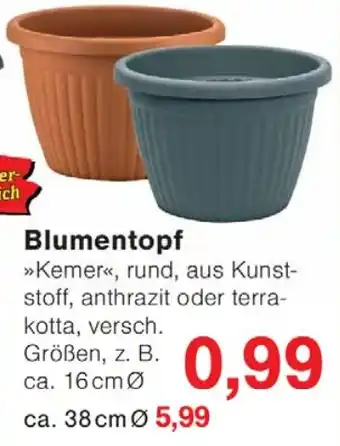 Wiglo Wunderland Blumentopf Angebot
