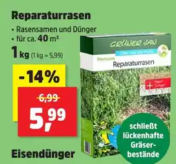 Thomas Philipps Premium reparaturrasen Angebot