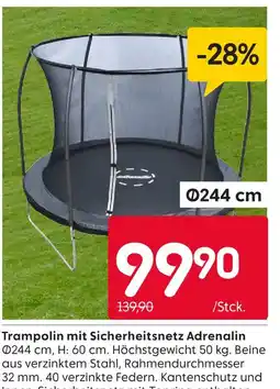 Rusta Trampolin mit sicherheitsnetz adrenalin Angebot