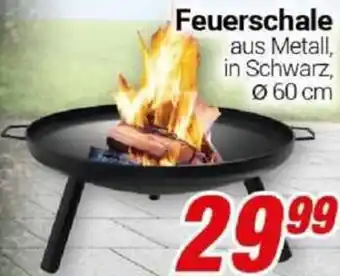 CENTERSHOP Feuerschale Angebot