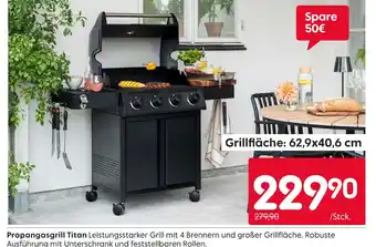 Rusta Propangasgrill titan Angebot