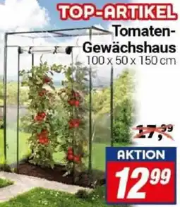 CENTERSHOP Tomaten Gewächshaus Angebot