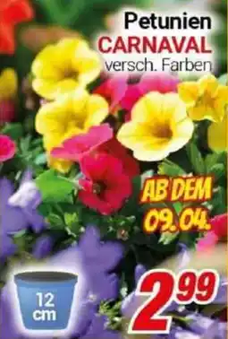 CENTERSHOP Petunien CARNAVAL Angebot
