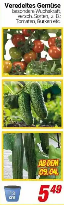 CENTERSHOP Veredeltes Gemüse Angebot