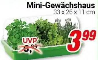 CENTERSHOP Mini-Gewächshaus Angebot