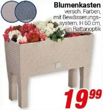 CENTERSHOP Blumenkasten Angebot